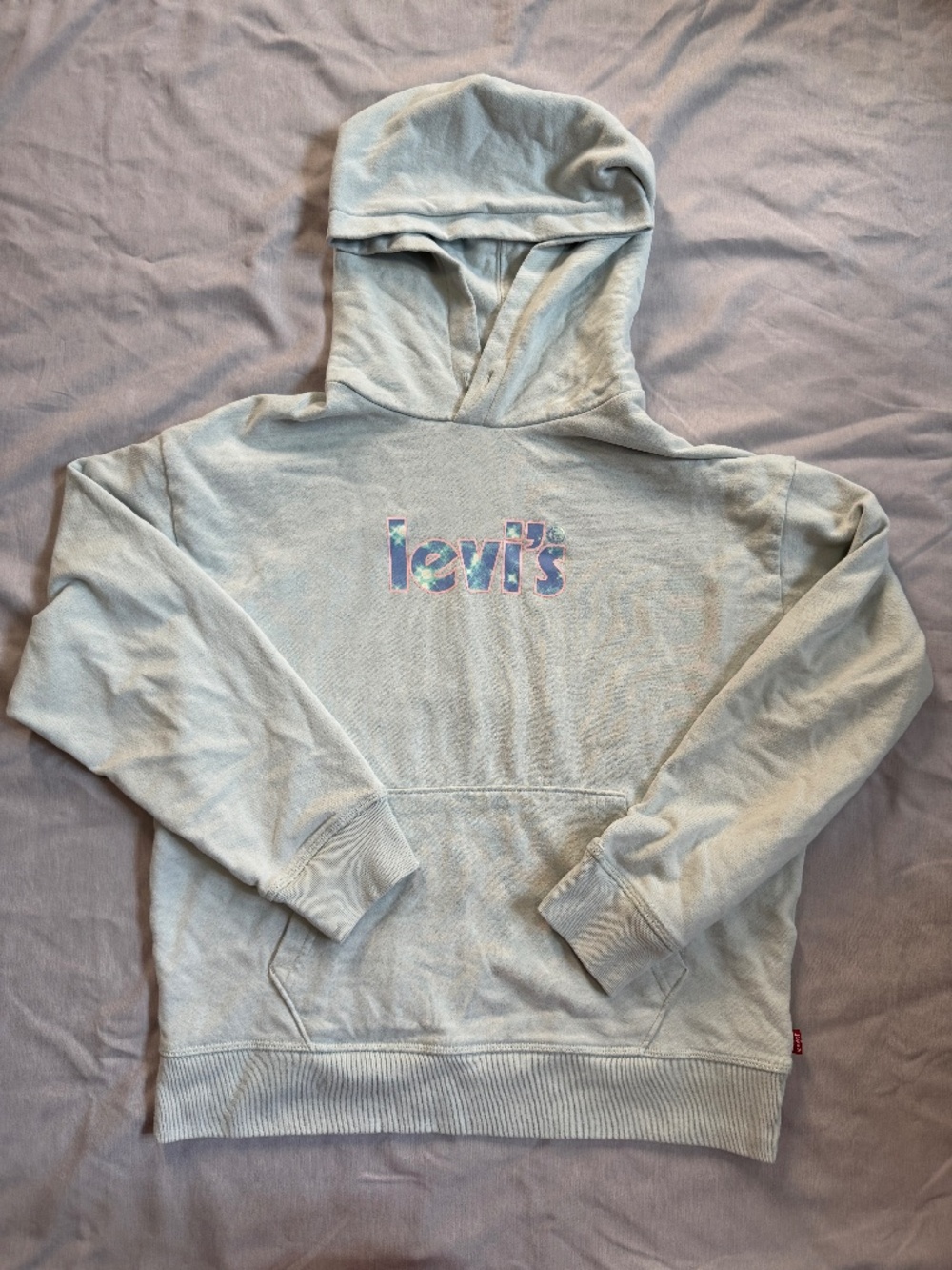 Levi's French Terry Pullover Hoodie Women's Lightweight Misty Blue, Size Small
